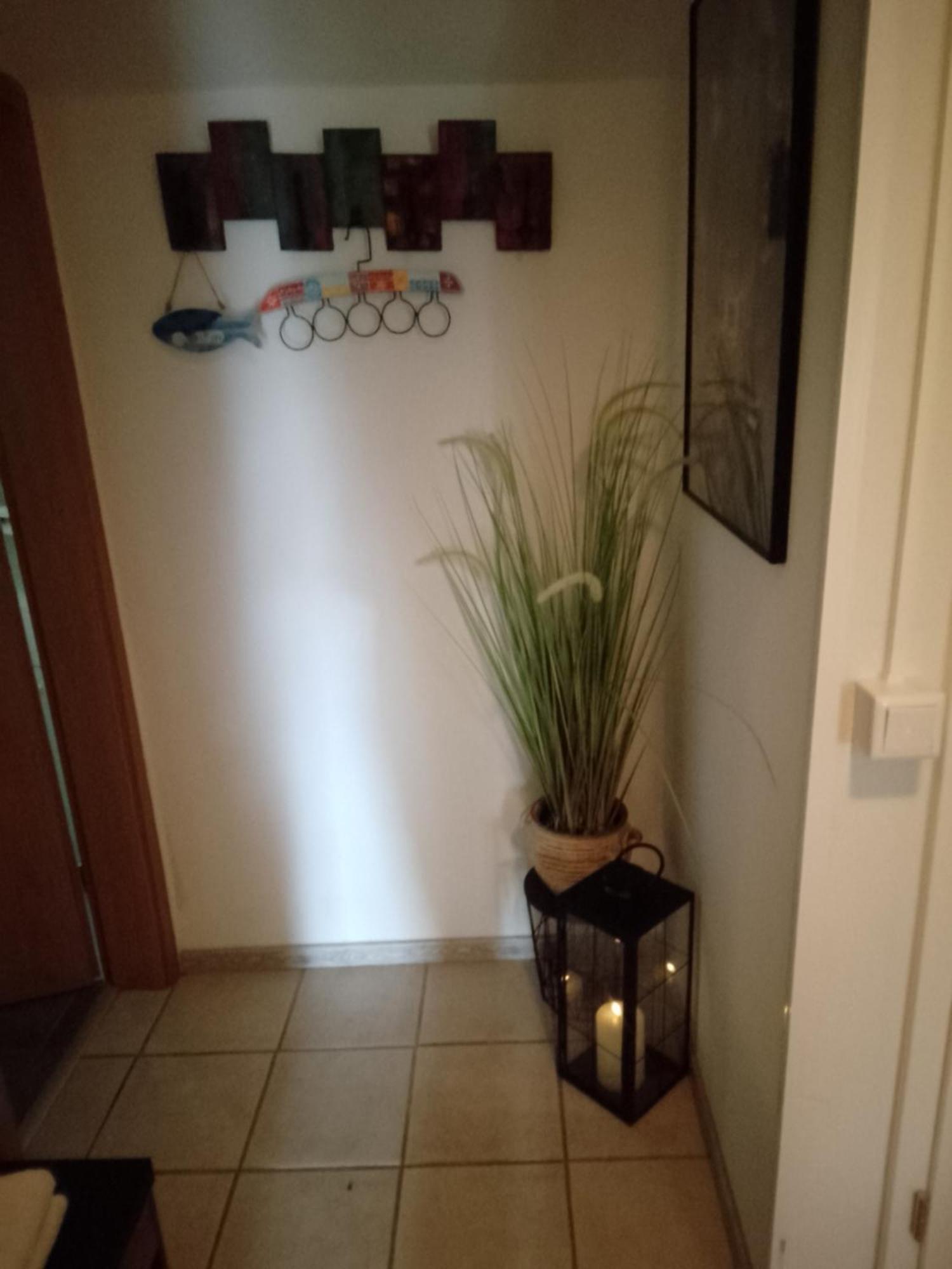 Apartament Eifelstube Langerwehe Zewnętrze zdjęcie